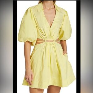 Jonathan Simkhai Aulora Mini Dress